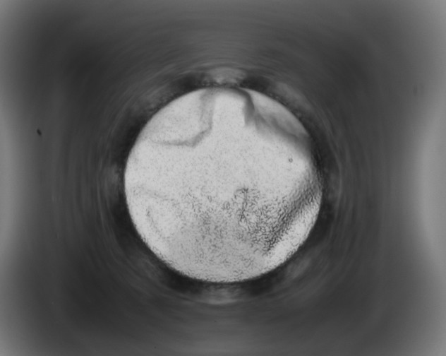 X0000086110321200704132215