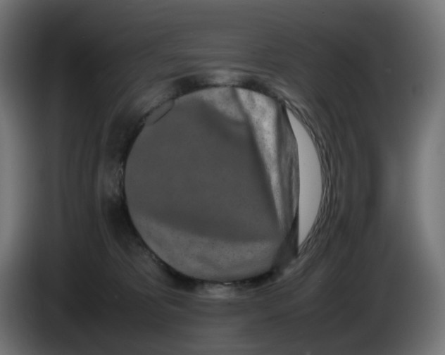 X0000086110325200704132214