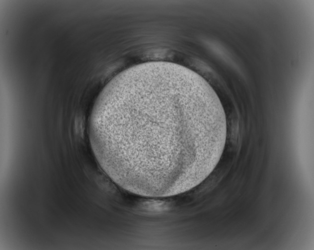 X0000086110326200704132214