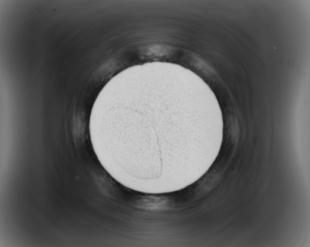 X0000086110328200704132214