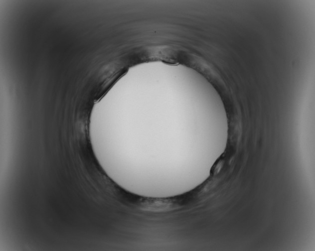 X0000086110329200704132214