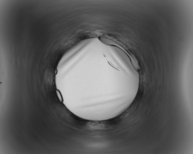 X0000086110331200704132214