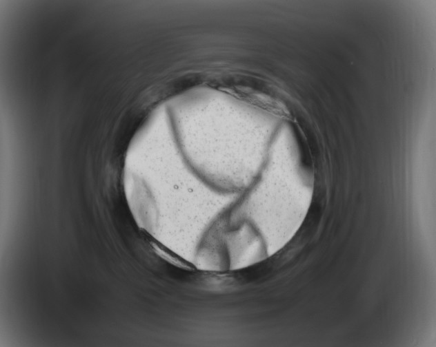 X0000086110333200704132214