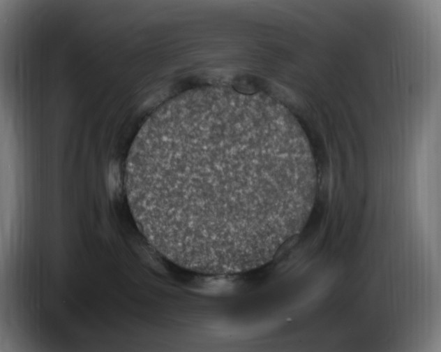 X0000086110335200704132214