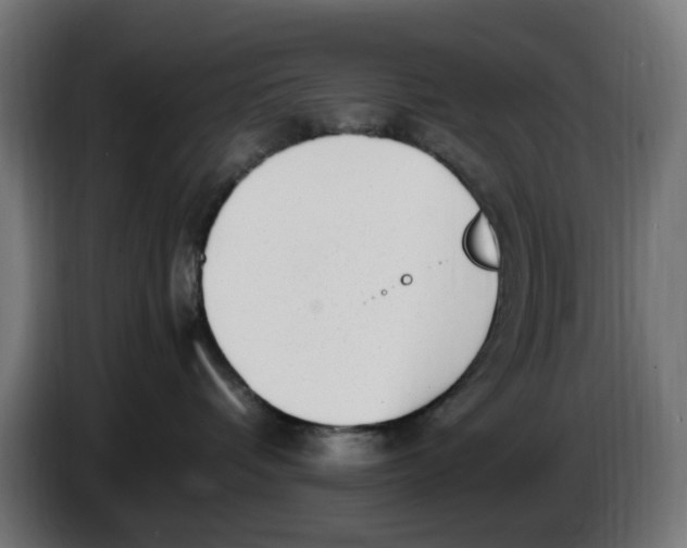 X0000086110336200704132214