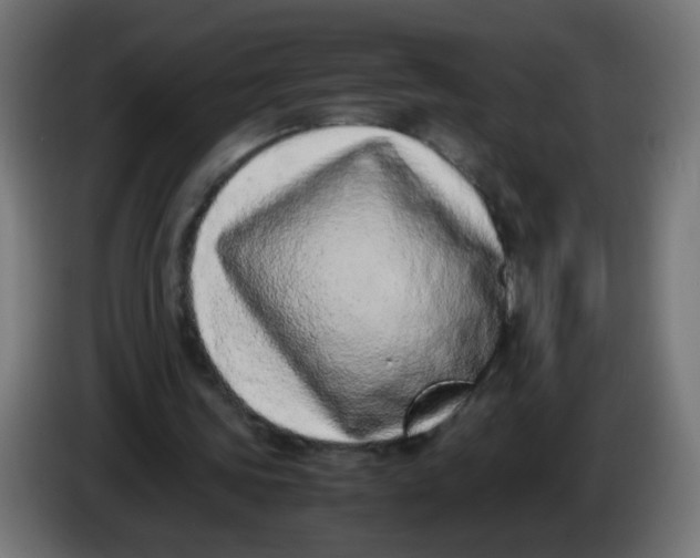 X0000086110339200704132214