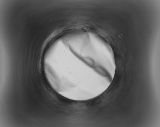 X0000086110340200704132214