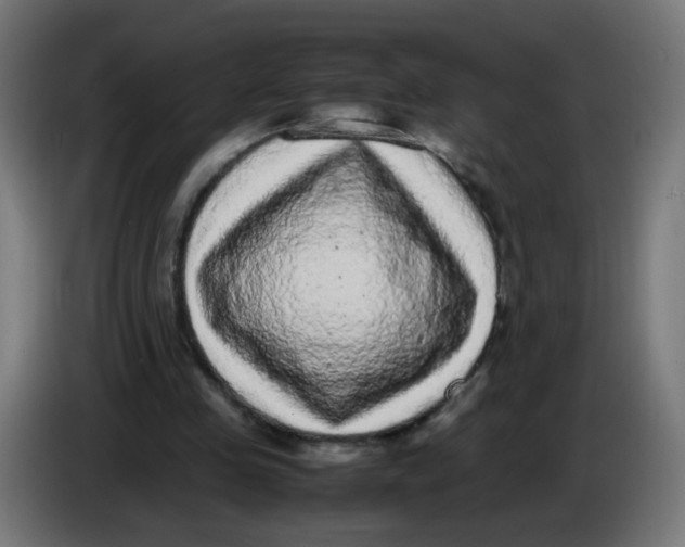 X0000086110341200704132214