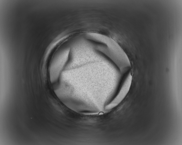 X0000086110343200704132214