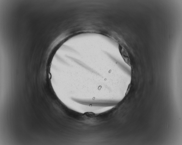 X0000086110344200704132214