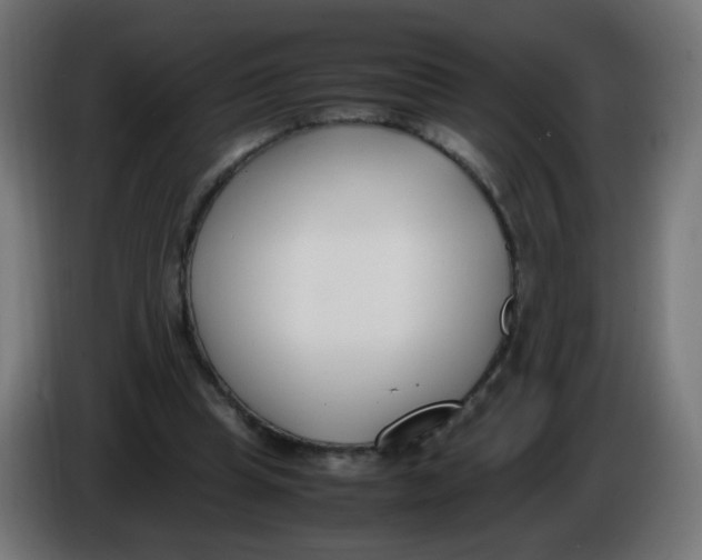 X0000086110345200704132214