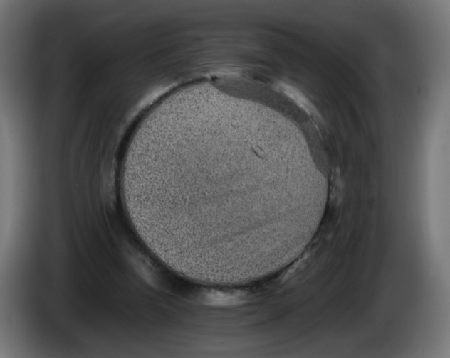 X0000086110346200704132214