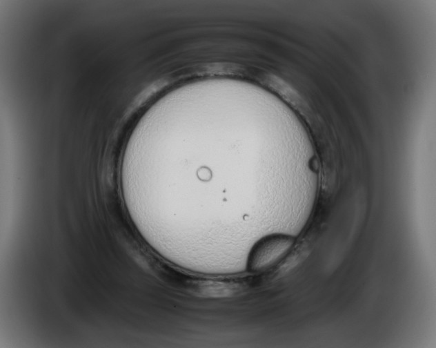 X0000086110347200704132214