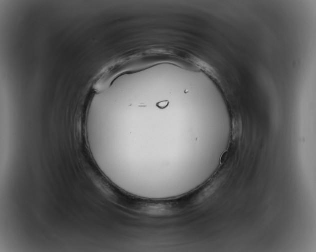 X0000086110349200704132214