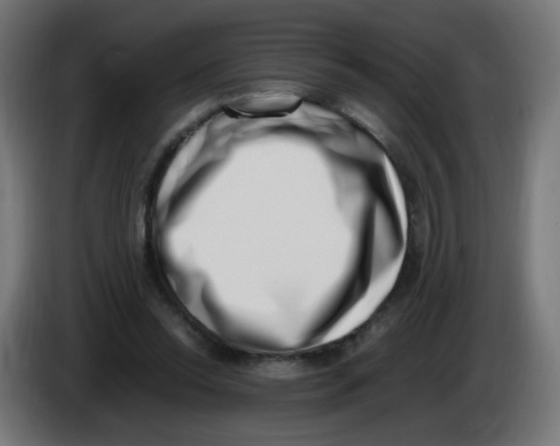 X0000086110350200704132214