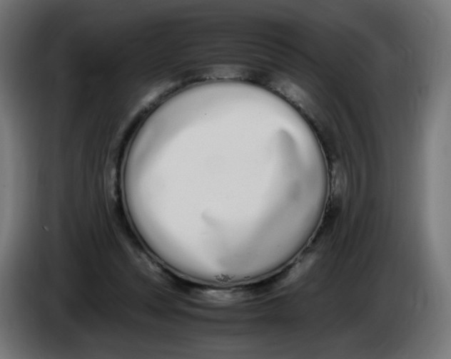 X0000086110351200704132214