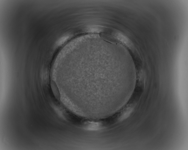 X0000086110352200704132214