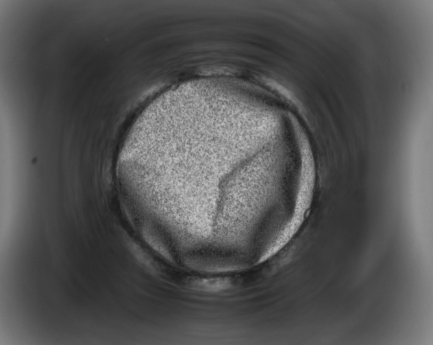 X0000086110353200704132214