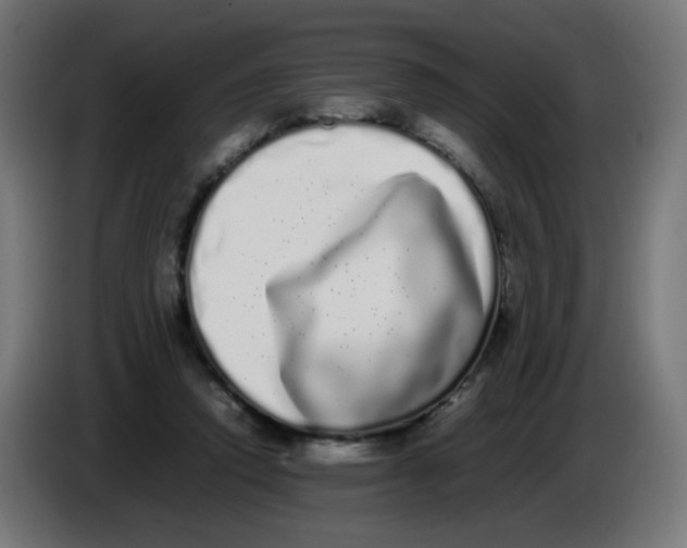 X0000086110354200704132214