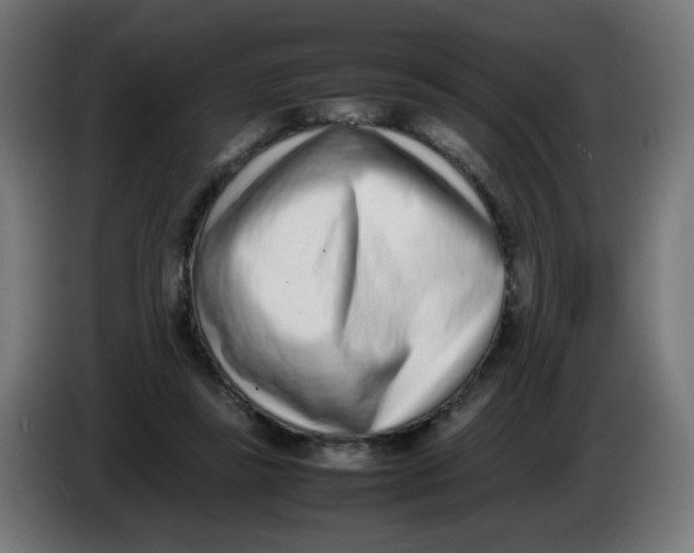 X0000086110355200704132214