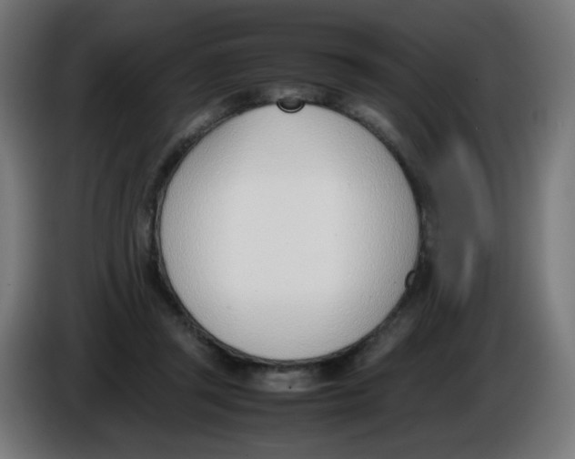 X0000086110357200704132214