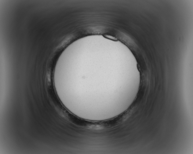 X0000086110358200704132214