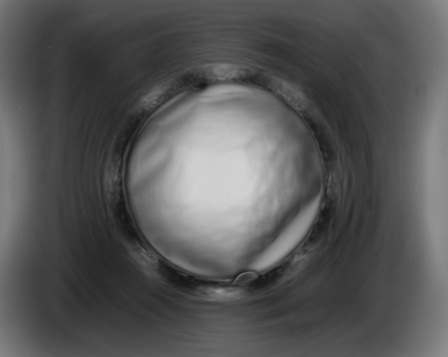 X0000086110360200704132214