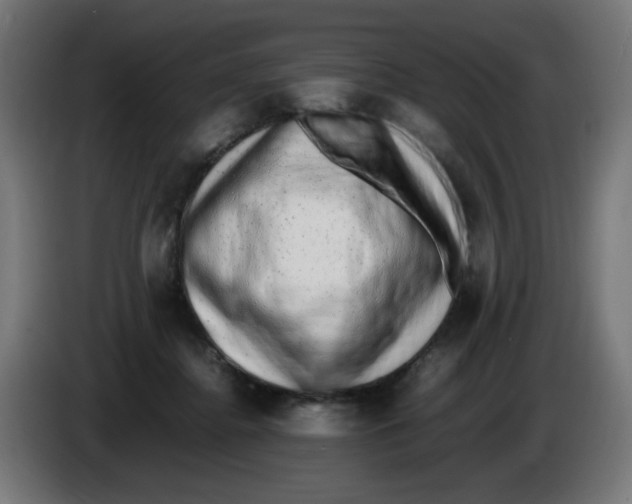 X0000086110364200704132214