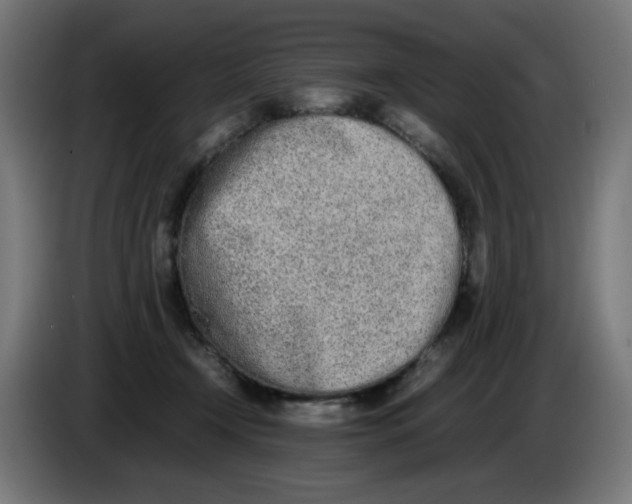 X0000086110366200704132214