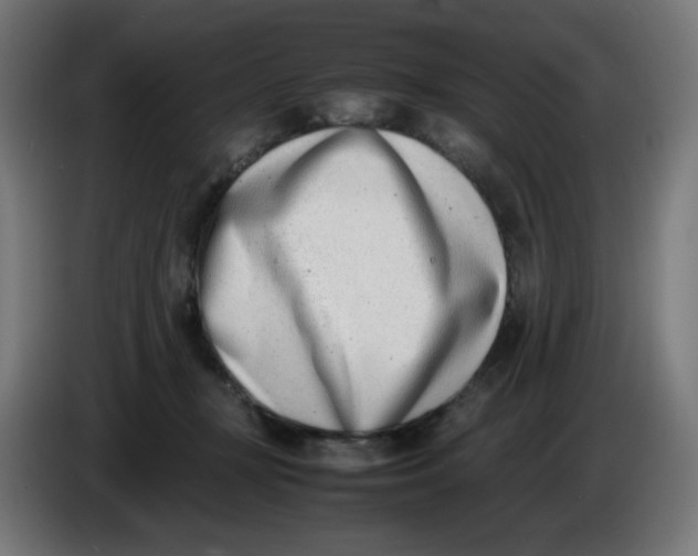 X0000086110367200704132214