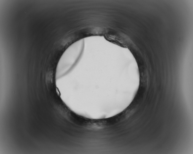 X0000086110368200704132214