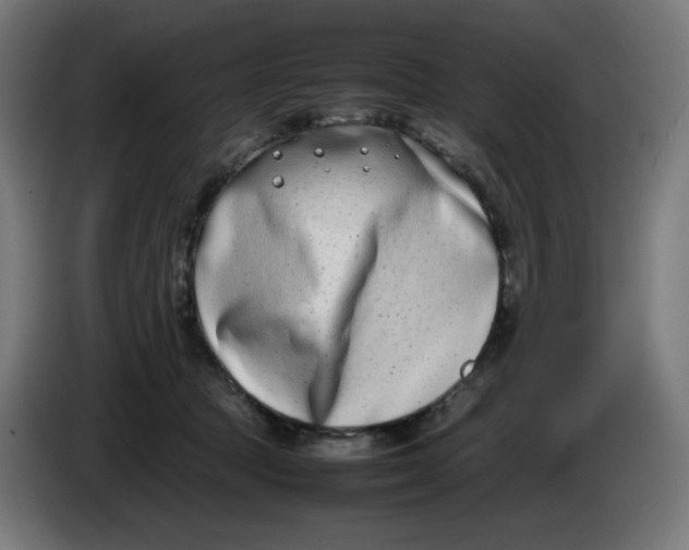 X0000086110369200704132214