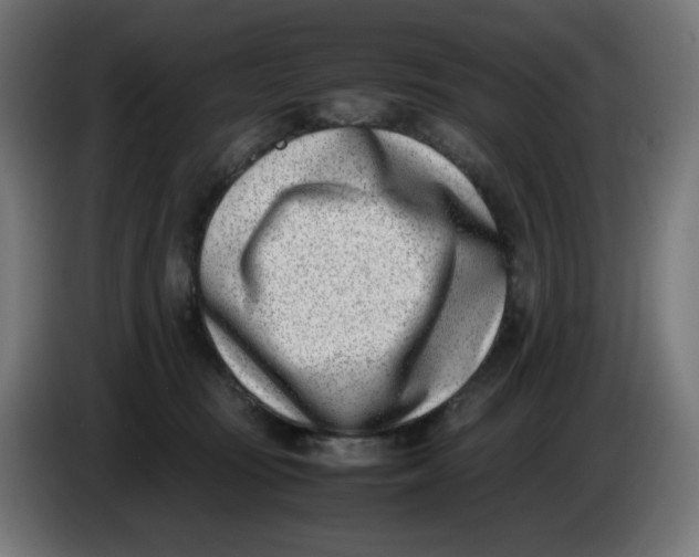 X0000086110371200704132214