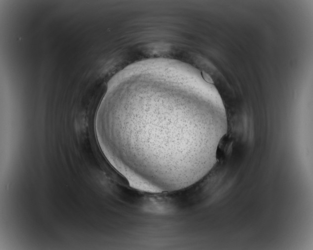 X0000086110372200704132214