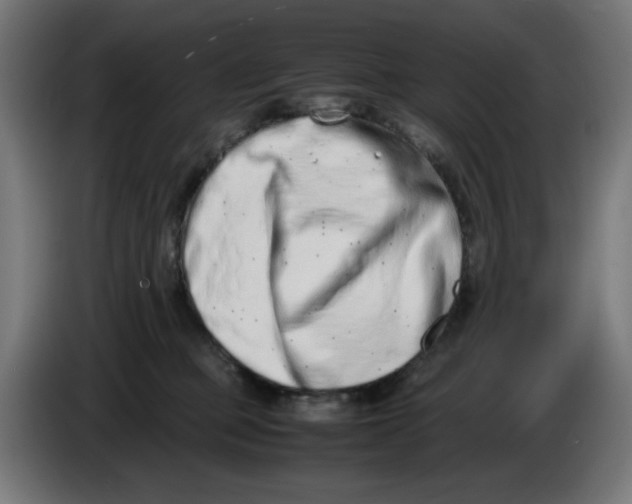 X0000086110373200704132214