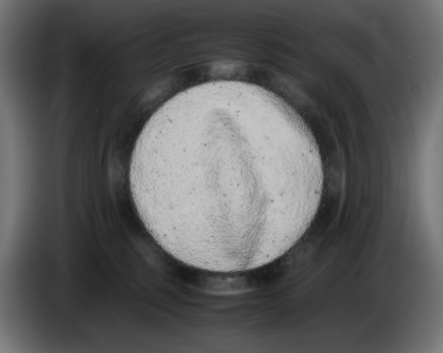 X0000086110375200704132214