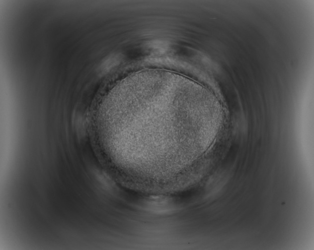 X0000086110376200704132214