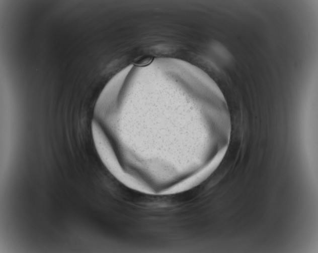 X0000086110377200704132214