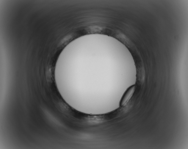 X0000086110378200704132214