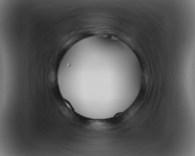 X0000086110380200704132214