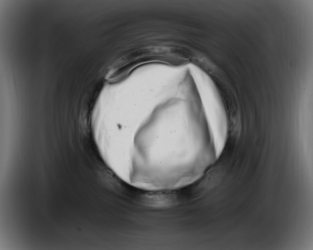 X0000086110381200704132214