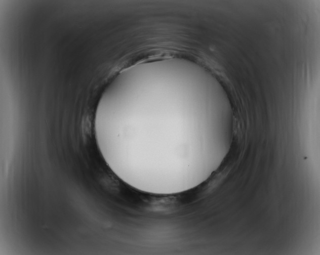 X0000086110382200704132214