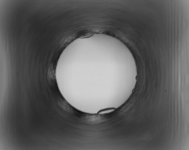 X0000086110384200704132214