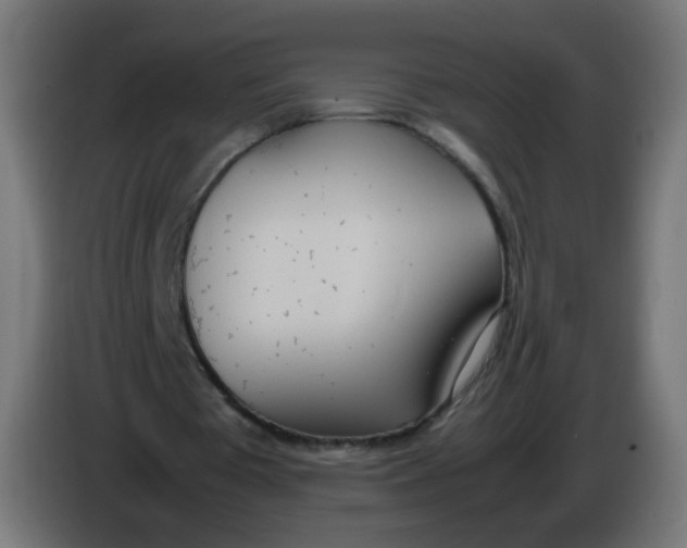 X0000086110385200704132214