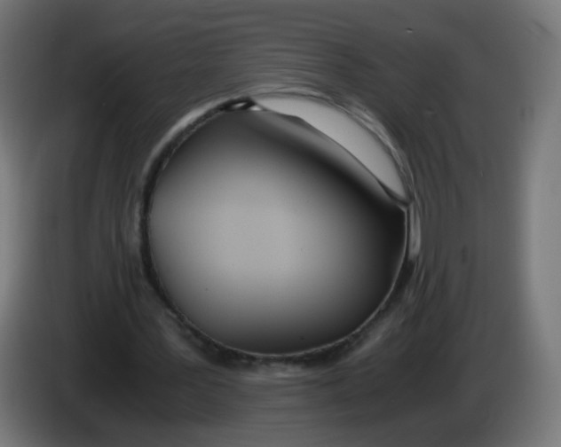 X0000086110387200704132214