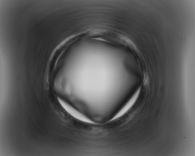 X0000086110388200704132214