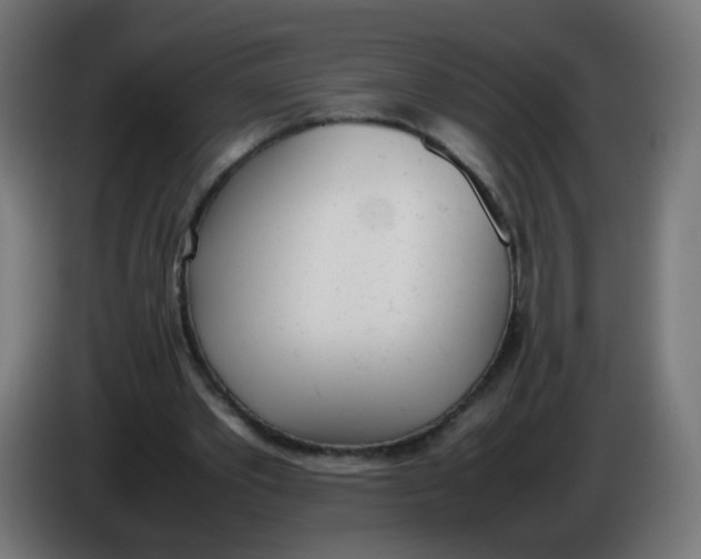 X0000086110389200704132214