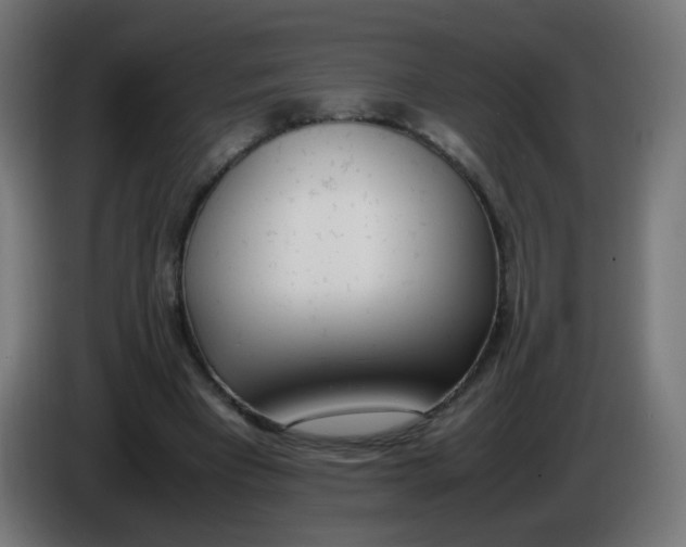 X0000086110393200704132214