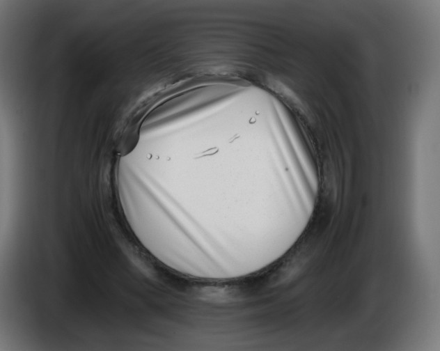 X0000086110394200704132214