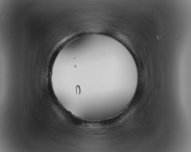 X0000086110395200704132213